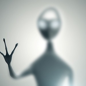 Rashevskyi Viacheslav/Shutterstock.com