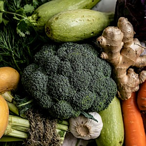 Dzheren Alieva/Shutterstock.com