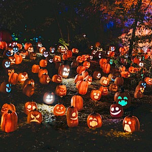 Steven Van Elk / Unsplash