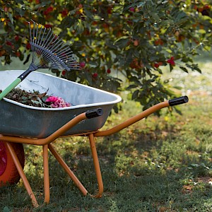 PhotoJuli86/Shutterstock.com