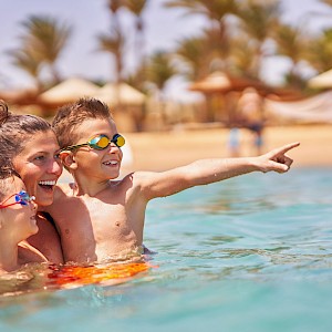 Kamil Macniak/Shutterstock.com