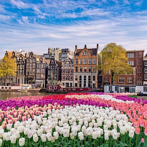 Noppasin Wongchum/Shutterstock.com