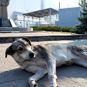 Sybille Reuter / Shutterstock.com