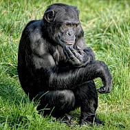 ambquinn/Shutterstock.com