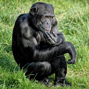 ambquinn/Shutterstock.com