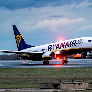 Cristi Mitu / Shutterstock.com