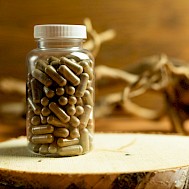 Mateusz Feliksik/Shutterstock.com