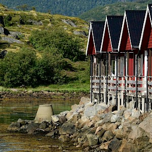 Ellaaro / Shutterstock