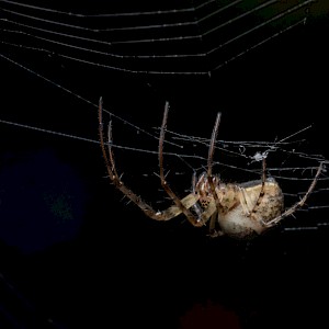 Wirestock Creators/Shutterstock.com