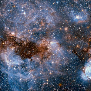 SRStudio/Shutterstock.com