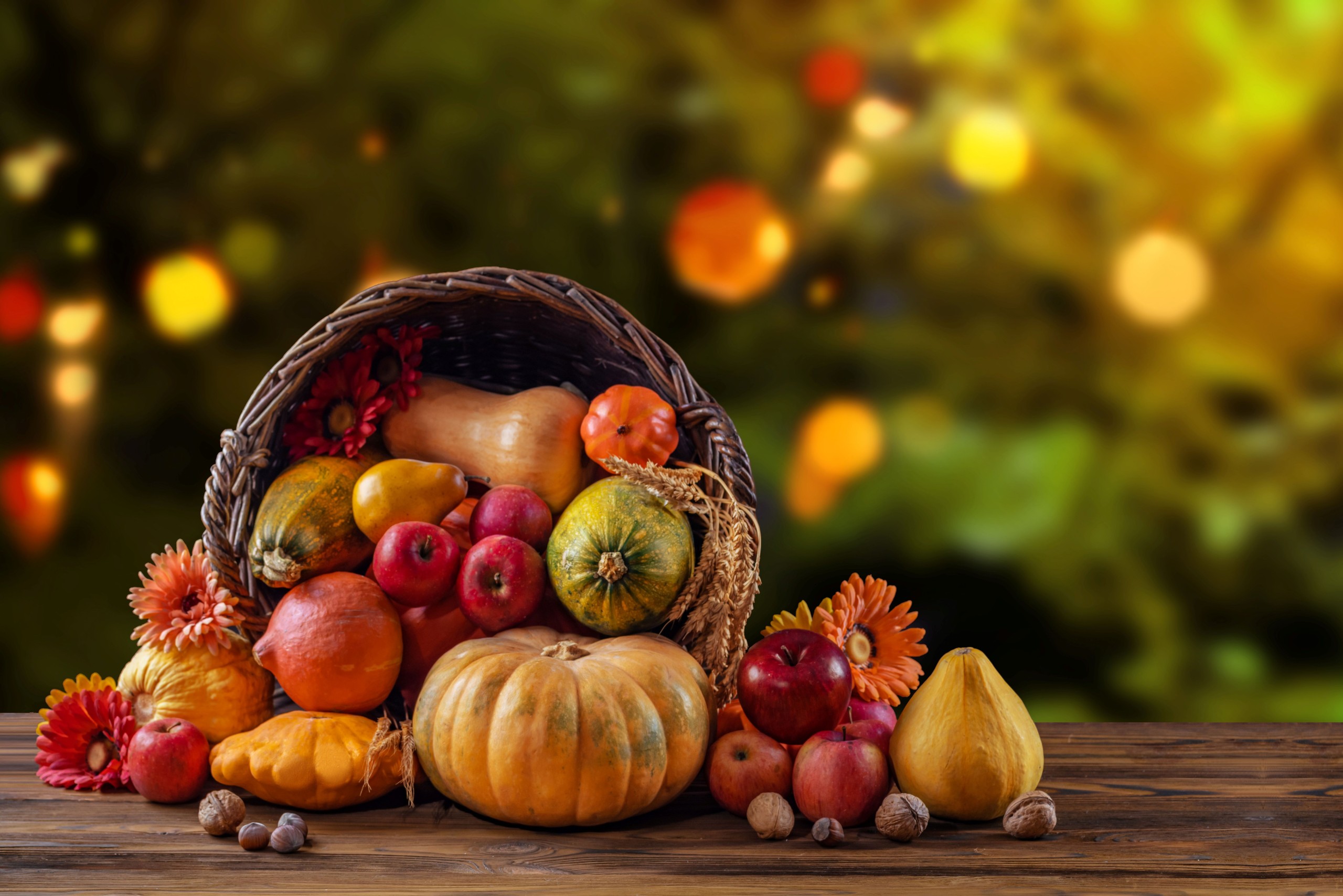 TSViPhoto/Shutterstock.com