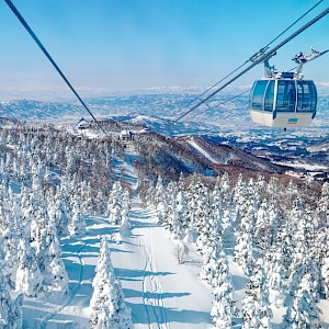 AaronChenPS2 / Shutterstock