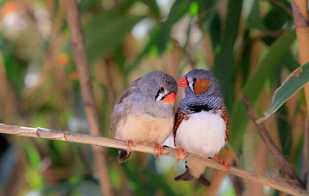 Piotr Dudka / Shutterstock