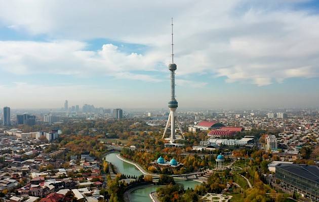 Collab Media / Shutterstock