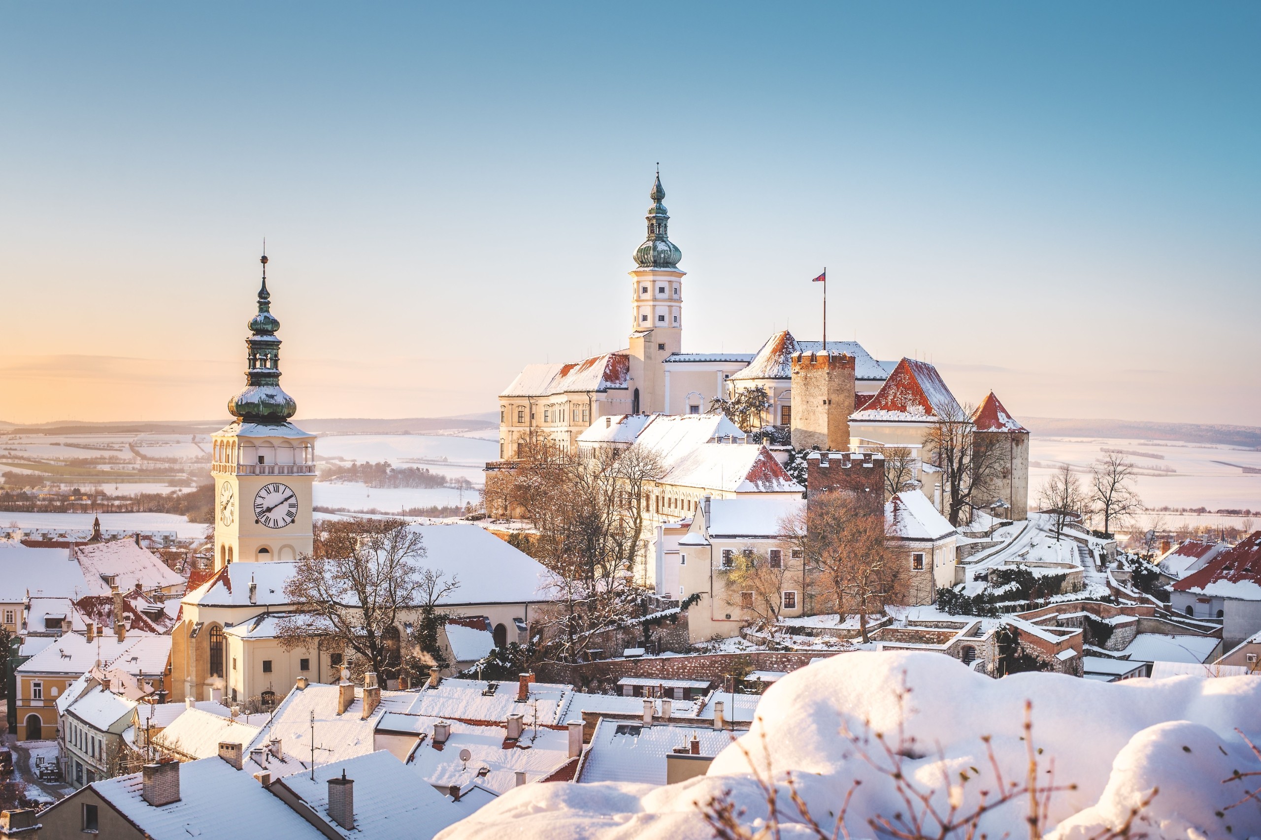 Tomas Stehlik/Shutterstock.com