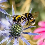 Christian Mueller / Shutterstock