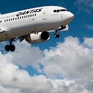 sunnypicsoz-Geoff Childs / Shutterstock