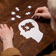 LightField Studios/Shutterstock.com