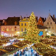 Finn stock/Shutterstock