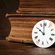 Reddogs/Shutterstock