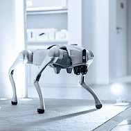 FUN FUN PHOTO / Shutterstock