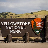 NayaDadara/Shutterstock.com