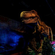 Png Studio Photography/Shutterstock.com