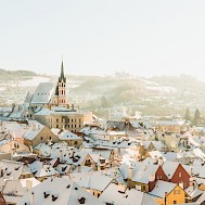 Simon Vasut / Shutterstock