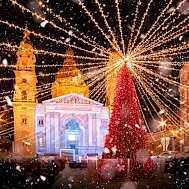 Balate.Dorin/Shutterstock