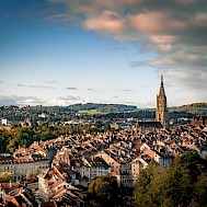 Temesi Roland/Shutterstock