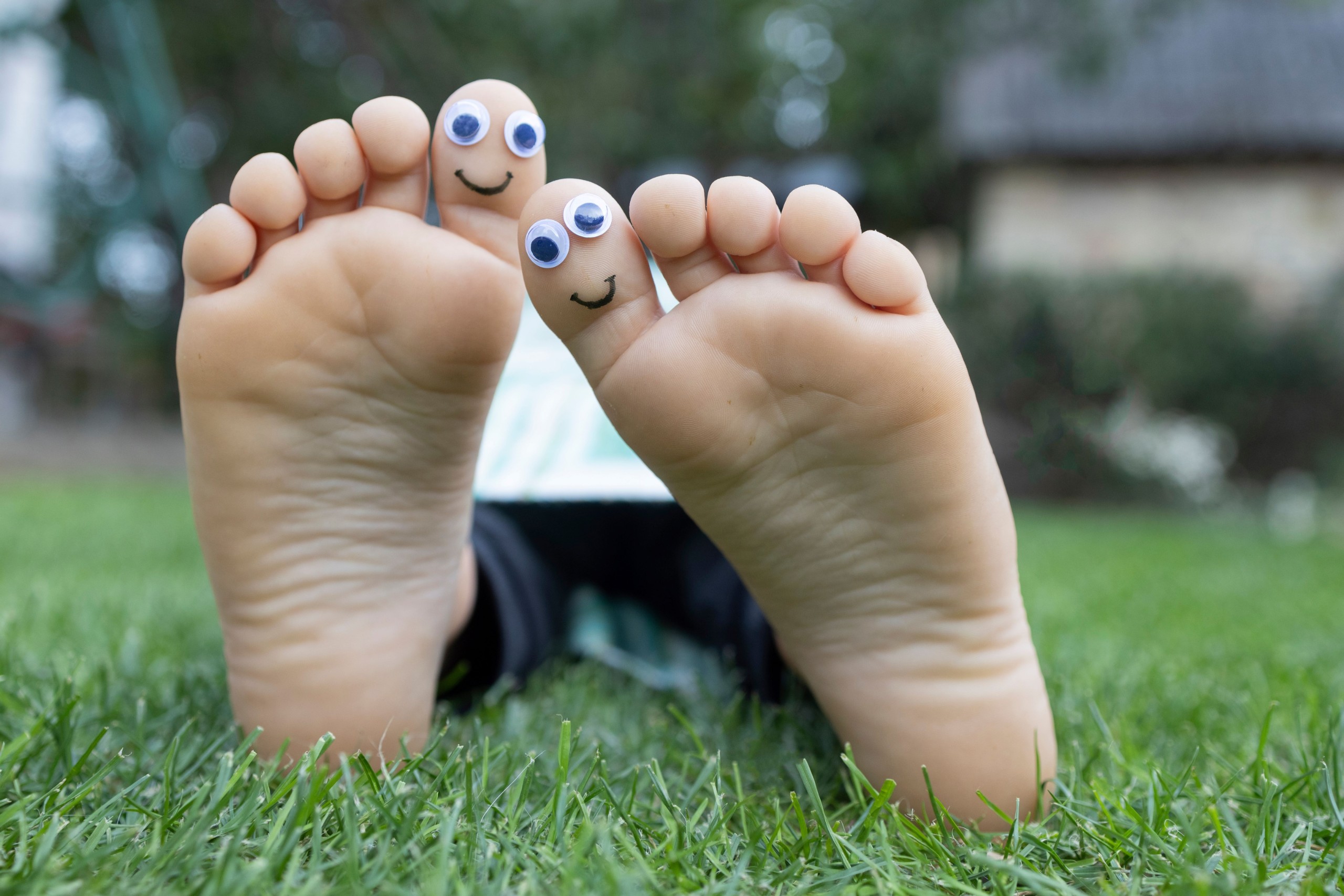 Anna Pasichnyk/Shutterstock.com