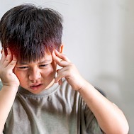 Art_Photo/Shutterstock.com