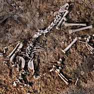 Barry Lewis / In Pictures via Getty Images Images