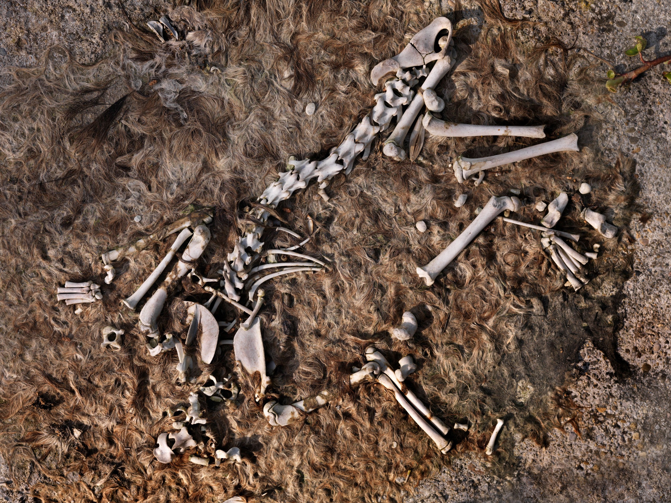 Barry Lewis / In Pictures via Getty Images Images