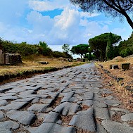 McCarony/Shutterstock.com