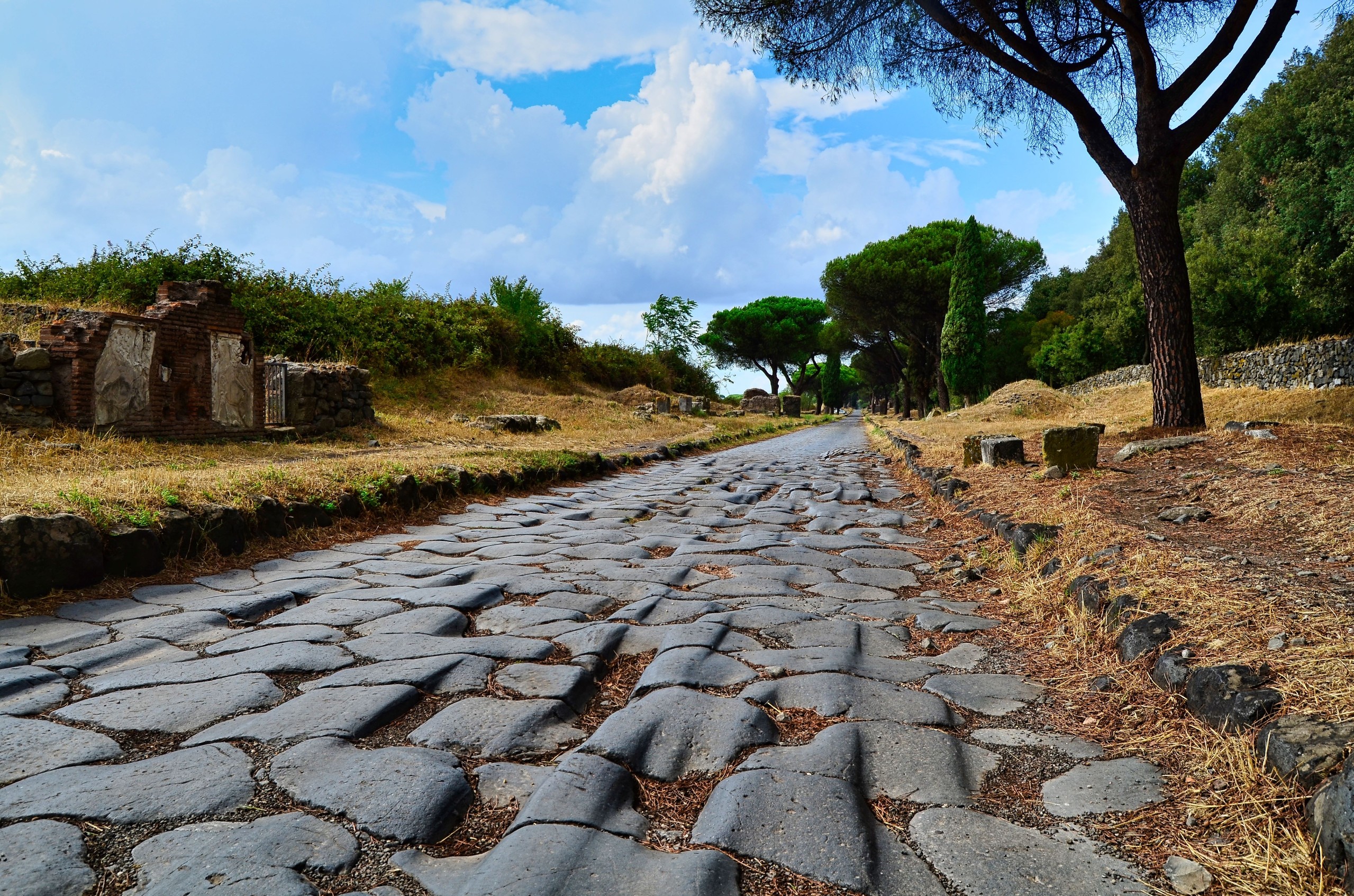 McCarony/Shutterstock.com