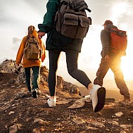 Dmitry Molchanovv/Shutterstock