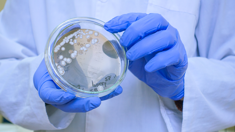 Prrrettty / Shutterstock