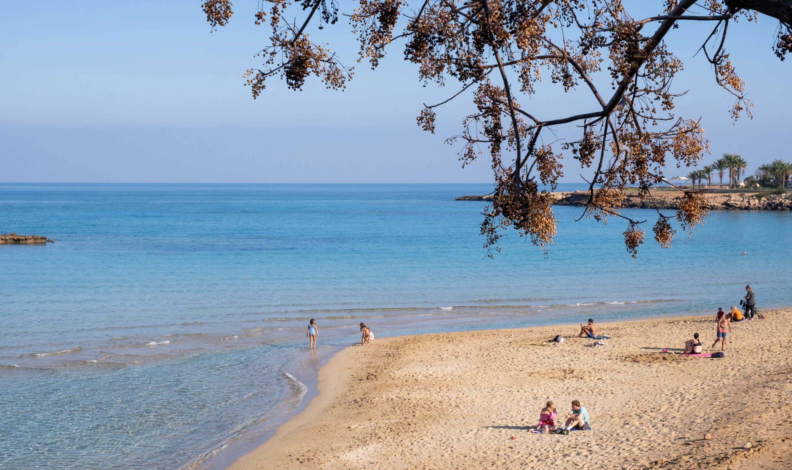 Michalakis Ppalis/Shutterstock.com