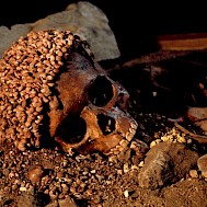 DeAgostini/Getty Images