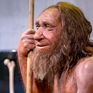 Esin Deniz/Shutterstock.com