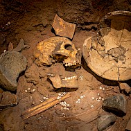 Melnikov Dmitriy/Shutterstock.com