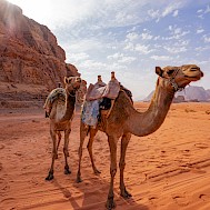 gpetkov3/Shutterstock.com