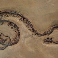 ND700/Shutterstock.com