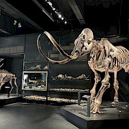 New Africa/Shutterstock.com