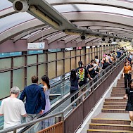 leungchopan/Shutterstock