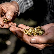 TSViPhoto/Shutterstock.com