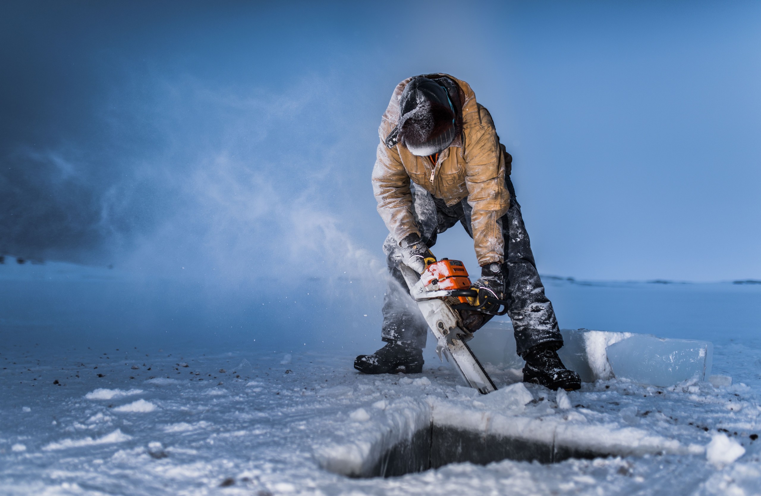 Stu Shaw/Shutterstock.com