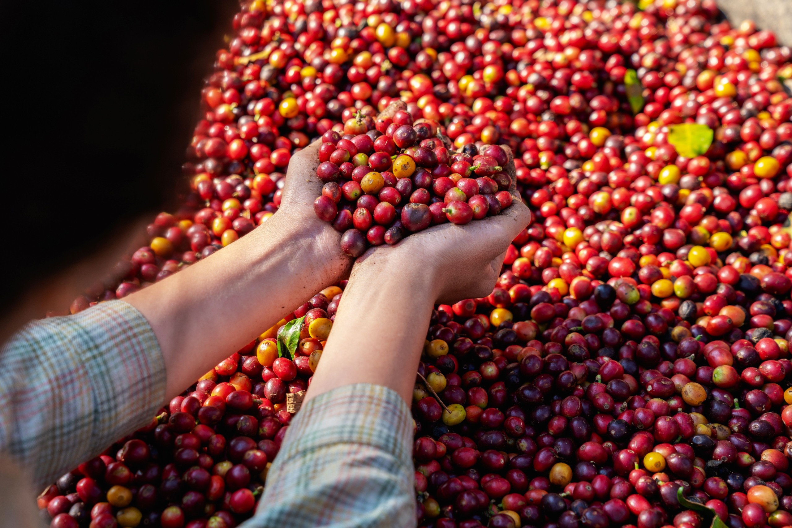 NewJadsada/Shutterstock.com