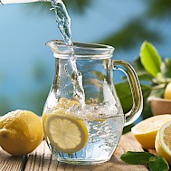 Duan Wade/Shutterstock.com